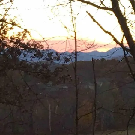 Serenity Views Comfort - Close To City & Parkway! Weaverville Exterior photo