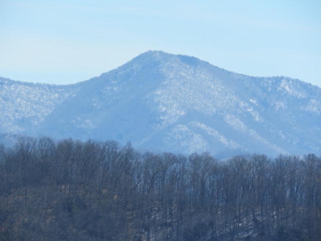 Serenity Views Comfort - Close To & Parkway! * Weaverville