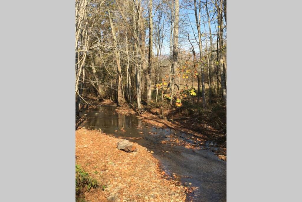 Serenity Views Comfort - Close To & Parkway!